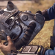 Illustration for article titled Bethesda Confirms Fallout 76 Is An Online Survival RPG